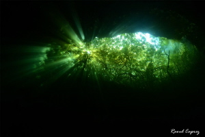 Green eye (Cenote - Mexico) by Raoul Caprez 